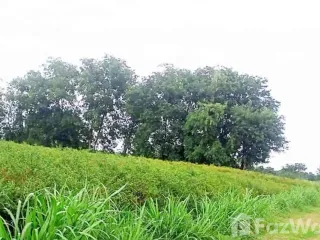 For sale land in Mueang Nakhon Sawan, Nakhon Sawan