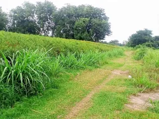 For sale land in Mueang Nakhon Sawan, Nakhon Sawan