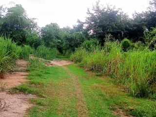 For sale land in Mueang Nakhon Sawan, Nakhon Sawan