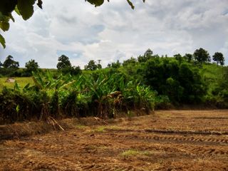 For sale land in Mae Chan, Chiang Rai