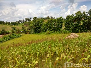 For sale land in Mae Chan, Chiang Rai