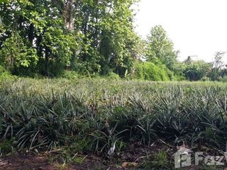For sale land in Mae Chan, Chiang Rai