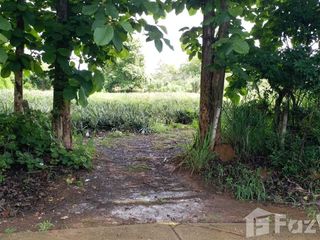 For sale land in Mae Chan, Chiang Rai