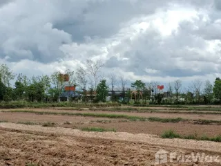 For sale land in Chiang Kham, Phayao