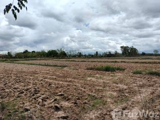 For sale land in Chiang Kham, Phayao