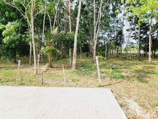 For sale land in Thalang, Phuket