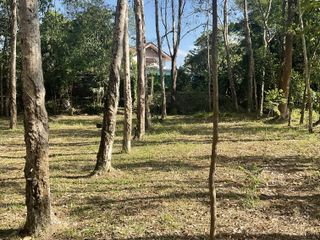 For sale land in Thalang, Phuket