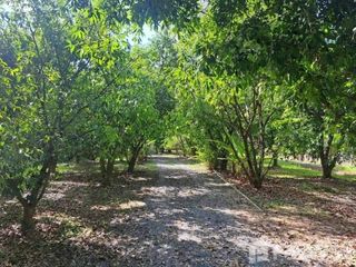 For sale land in Mueang Nakhon Nayok, Nakhon Nayok