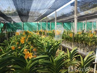 For sale land in Mueang Nakhon Pathom, Nakhon Pathom