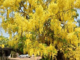For sale land in Mueang Nakhon Pathom, Nakhon Pathom