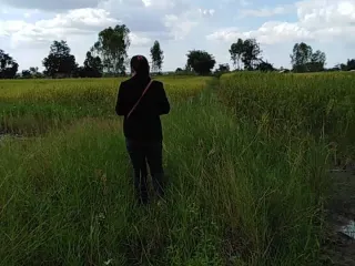 For sale land in Mueang Khon Kaen, Khon Kaen