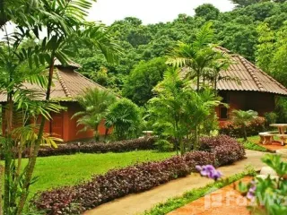 For sale land in Mae Chan, Chiang Rai