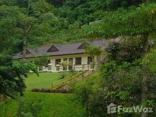 For sale land in Mae Chan, Chiang Rai