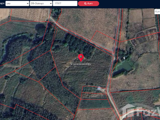 For sale land in Wang Saphung, Loei