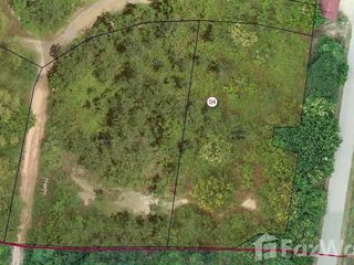 For sale land in Mueang Lamphun, Lamphun