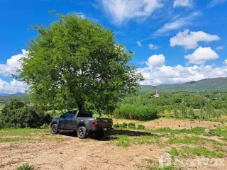 For sale land in Chiang Dao, Chiang Mai