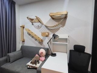 For rent 1 bed condo in Mueang Samut Prakan, Samut Prakan