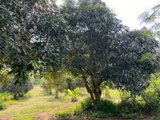 For sale land in Sattahip, Pattaya