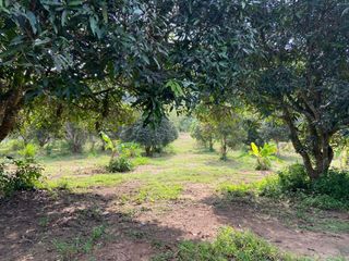 For sale land in Sattahip, Pattaya