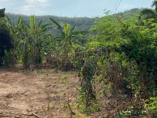 For sale land in Sattahip, Chonburi
