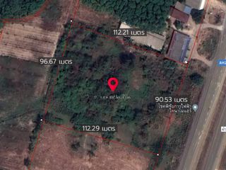For sale land in Wiang Sa, Surat Thani