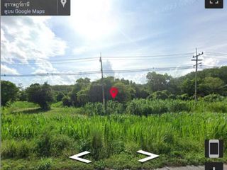 For sale land in Wiang Sa, Surat Thani