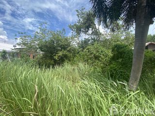 For sale land in Thalang, Phuket