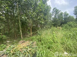 For sale land in Thalang, Phuket