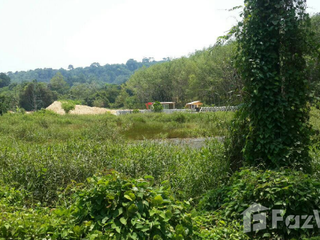 For sale land in Thalang, Phuket