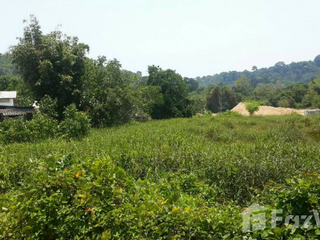 For sale land in Thalang, Phuket