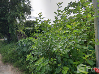 For sale land in Mueang Chai Nat, Chainat