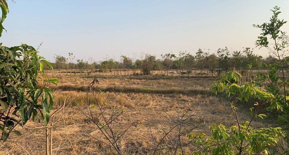 For sale land in Kantharawichai, Maha Sarakham