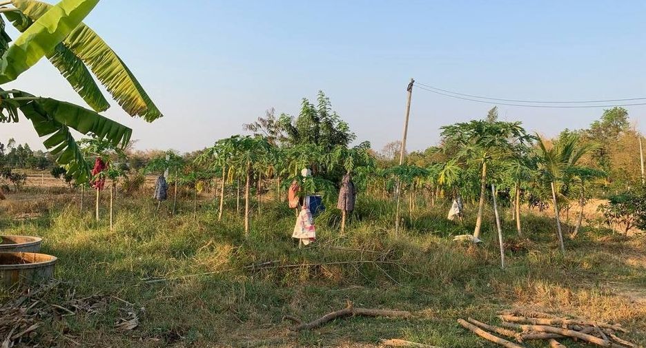 For sale land in Kantharawichai, Maha Sarakham