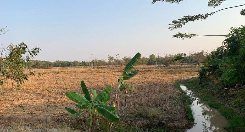 For sale land in Kantharawichai, Maha Sarakham