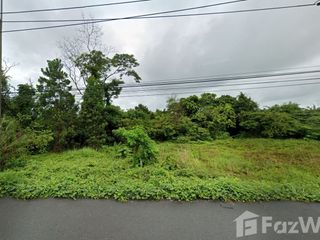 ขาย ที่ดิน ใน คลองใหญ่, ตราด