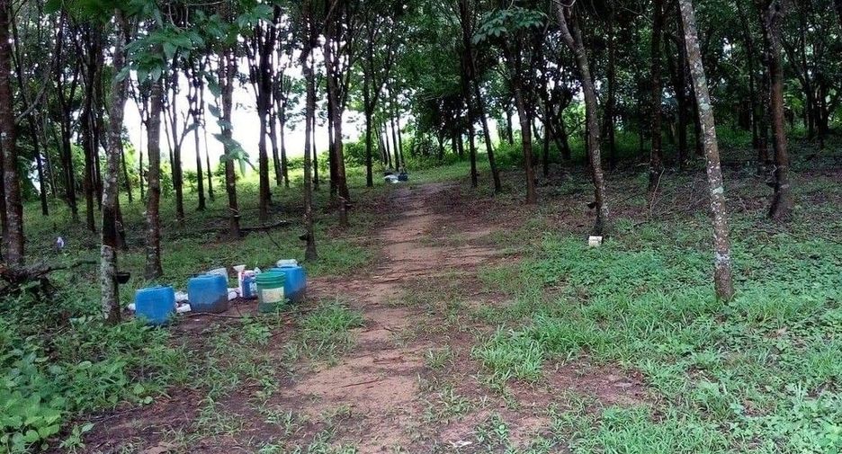 For sale land in Mueang Nakhon Phanom, Nakhon Phanom