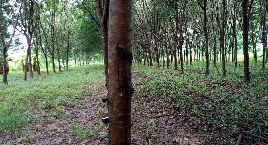 For sale land in Mueang Nakhon Phanom, Nakhon Phanom