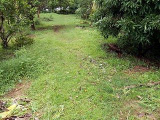 For sale land in Mueang Nakhon Phanom, Nakhon Phanom