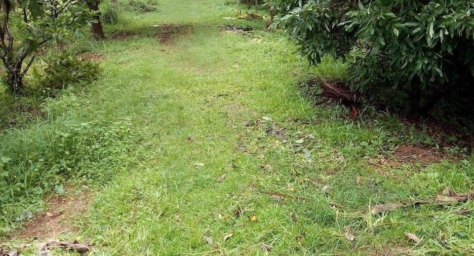 For sale land in Mueang Nakhon Phanom, Nakhon Phanom