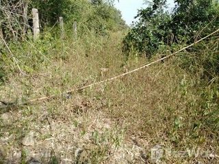 For sale land in Sung Noen, Nakhon Ratchasima