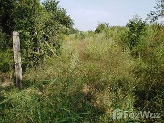 For sale land in Sung Noen, Nakhon Ratchasima