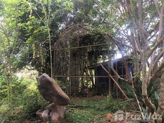 For sale land in Mueang Loei, Loei