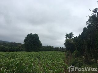 For sale land in Mueang Loei, Loei