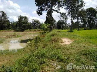 For sale land in Chonnabot, Khon Kaen