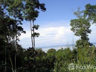 For sale land in Khlong Yai, Trat