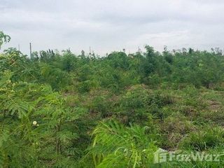 For sale land in Lat Bua Luang, Phra Nakhon Si Ayutthaya