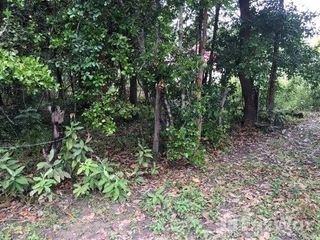 For sale land in Phibun Mangsahan, Ubon Ratchathani