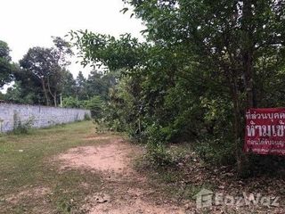 For sale land in Phibun Mangsahan, Ubon Ratchathani