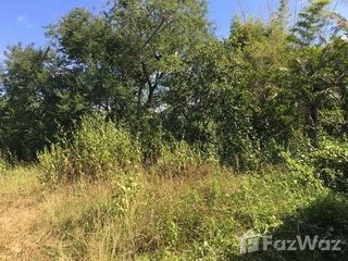 For sale land in Tha Li, Loei