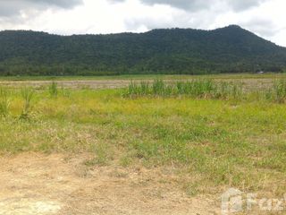 For sale land in Si Satchanalai, Sukhothai